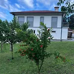 Casa Alexandre 7 * Monte (Norte)