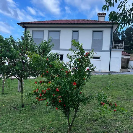 Casa Alexandre 7 * Monte (Norte)