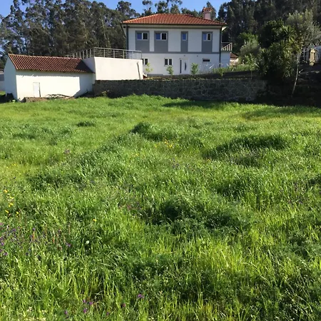 Casa Alexandre 7 Δωμάτια σε οικογενειακή κατοικία Monte (Norte)