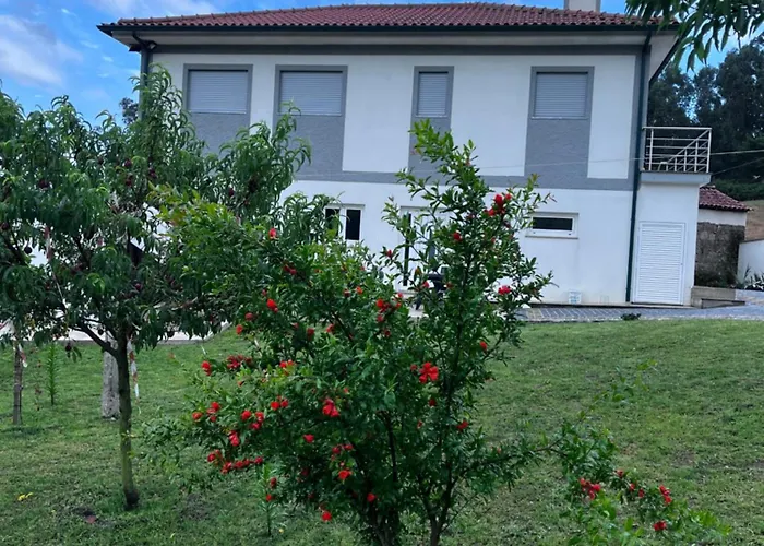 Casa Alexandre 7 * Monte (Norte)